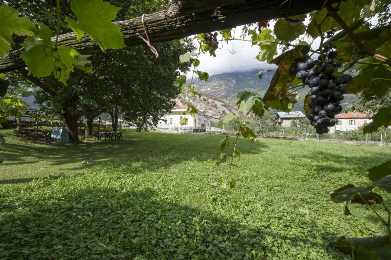 Mansarda Plein Soleil Vila Donnaz Exterior foto